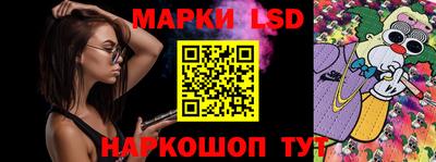 гидропоника Дубна