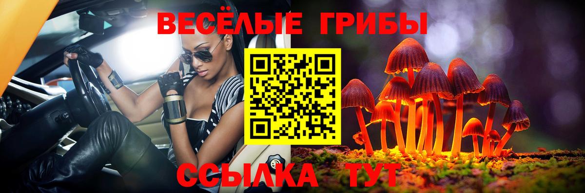 закладки  Вход с VPN  Лесной  Псилоцибиновые грибы Psilocybe 